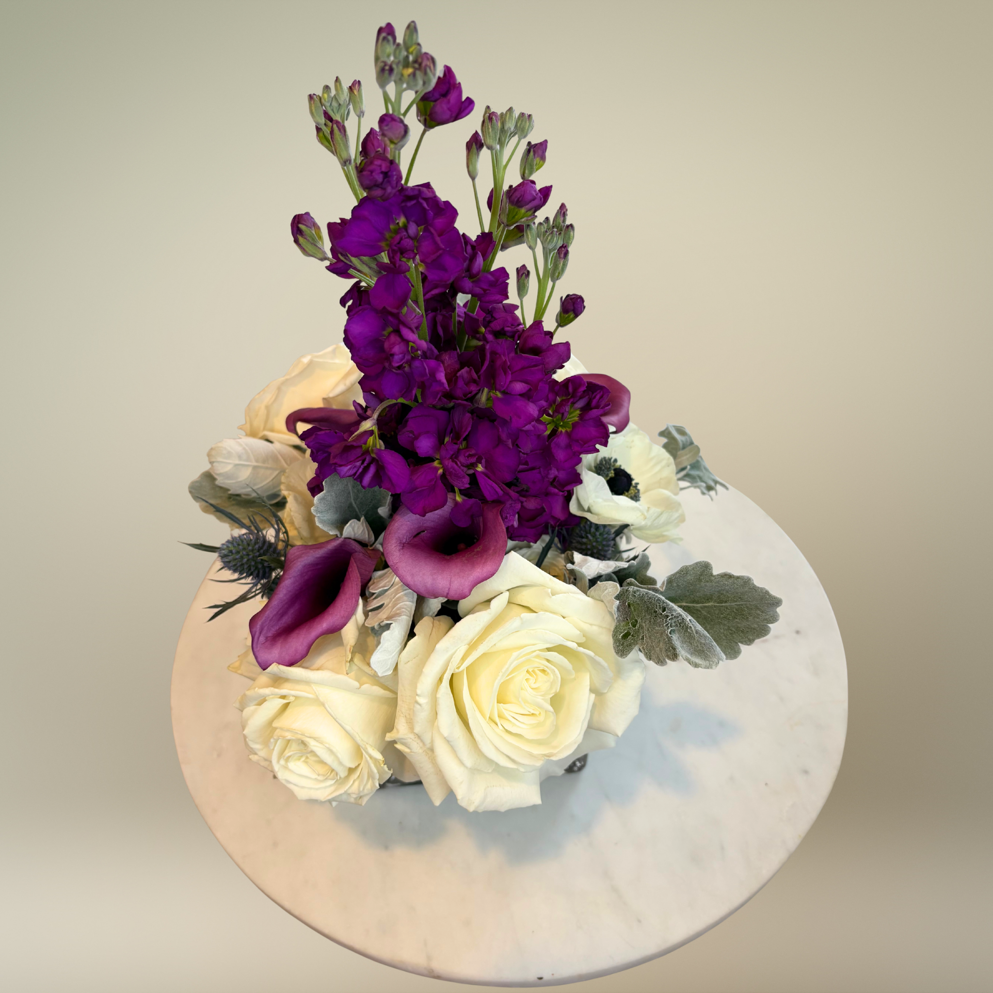 Midnight Winter Blooms