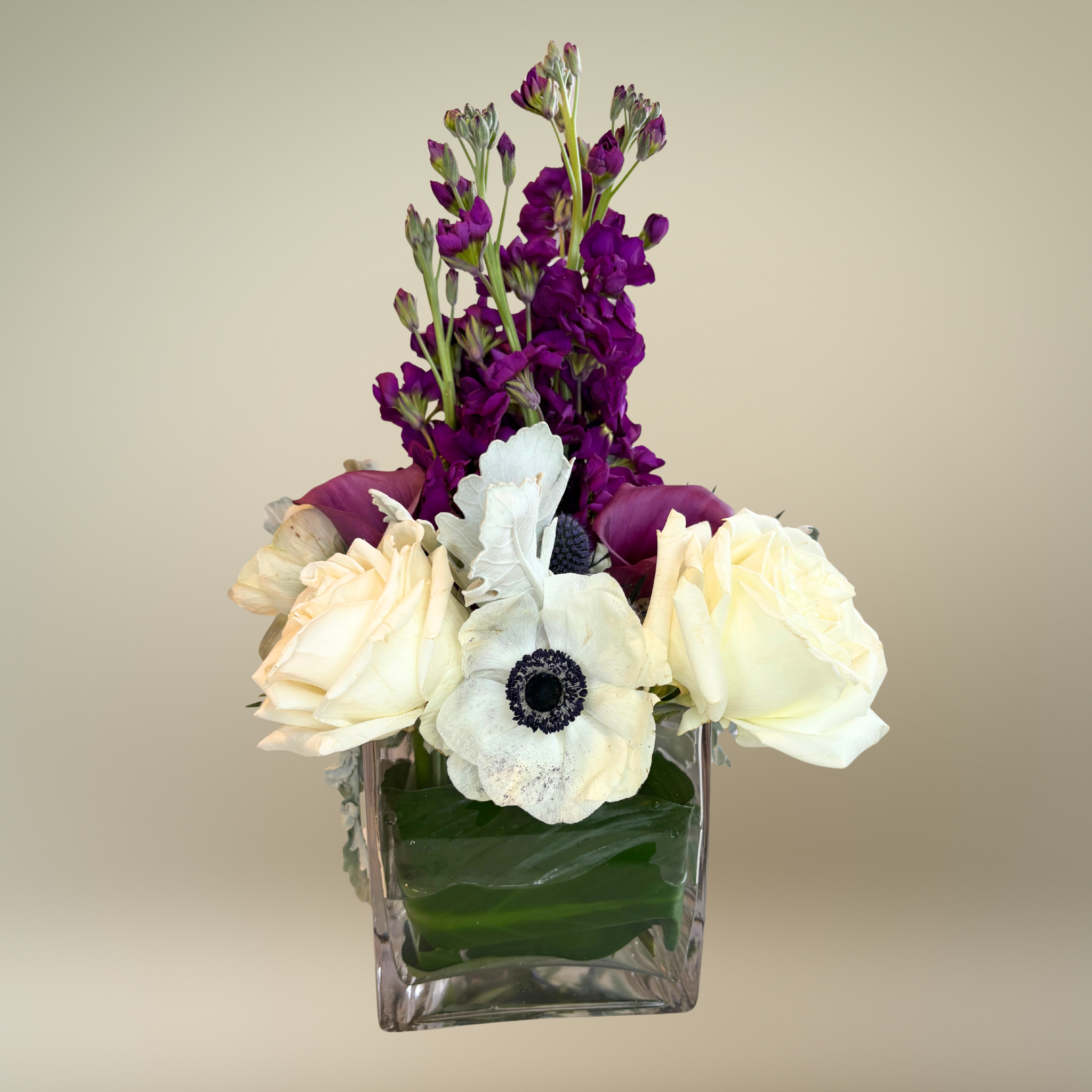 Midnight Winter Blooms