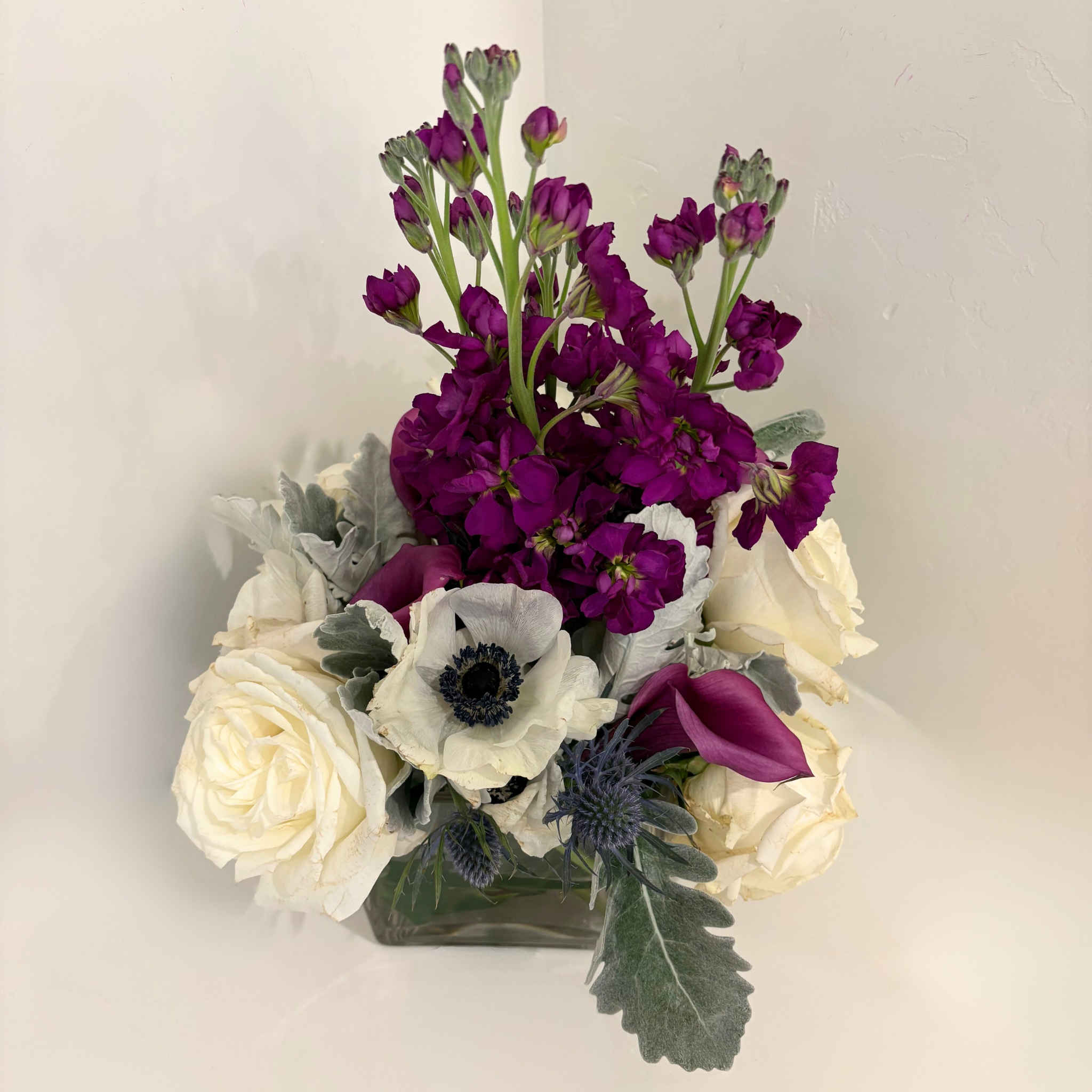 Midnight Winter Blooms