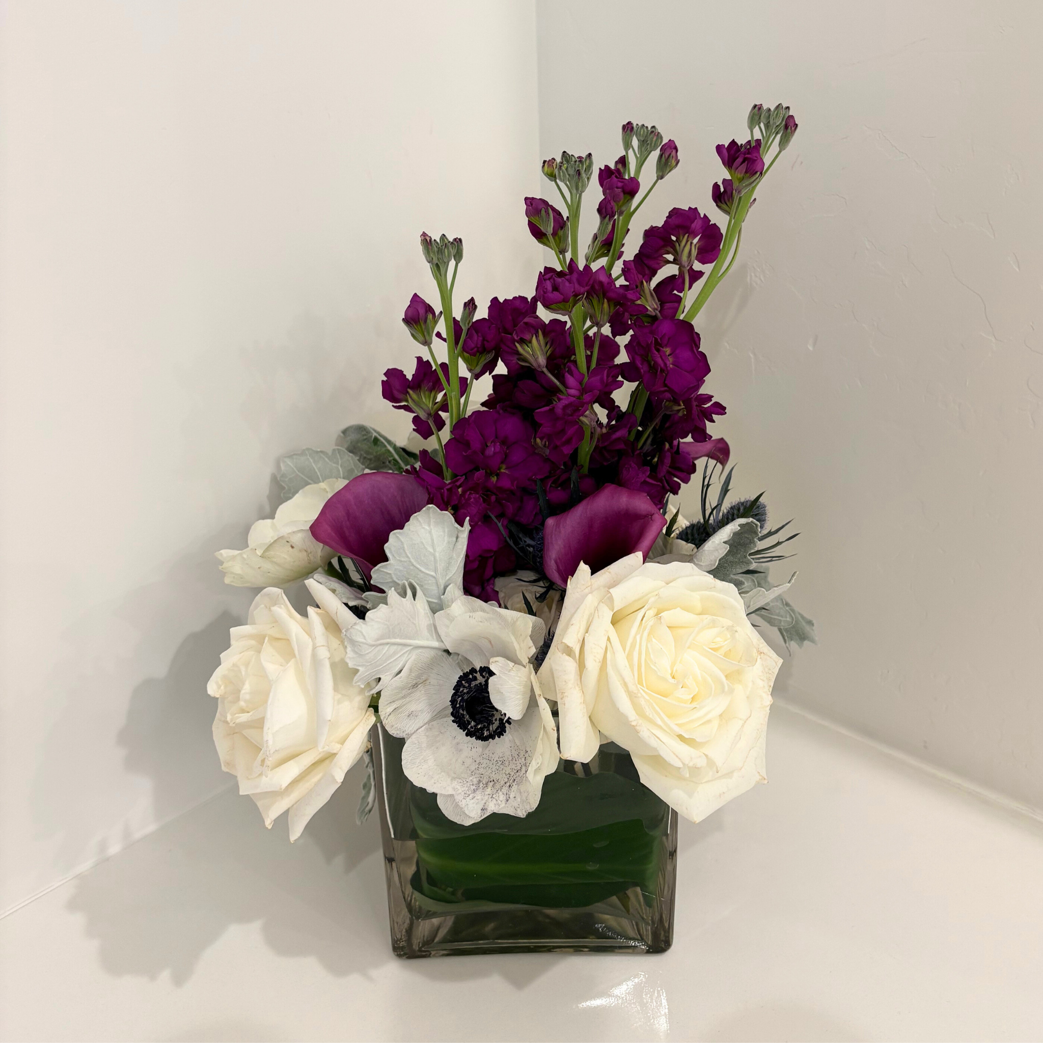 Midnight Winter Blooms