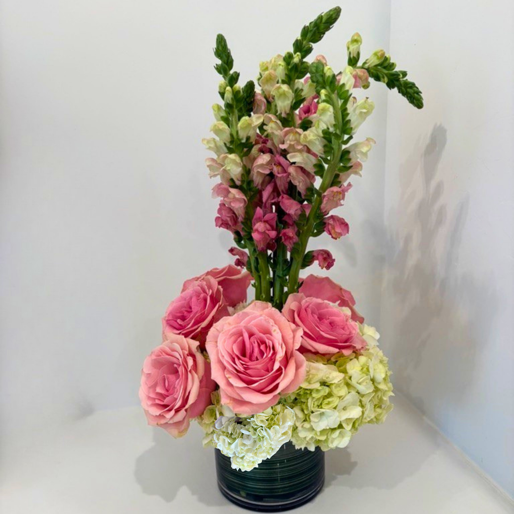 Snap into Spring
