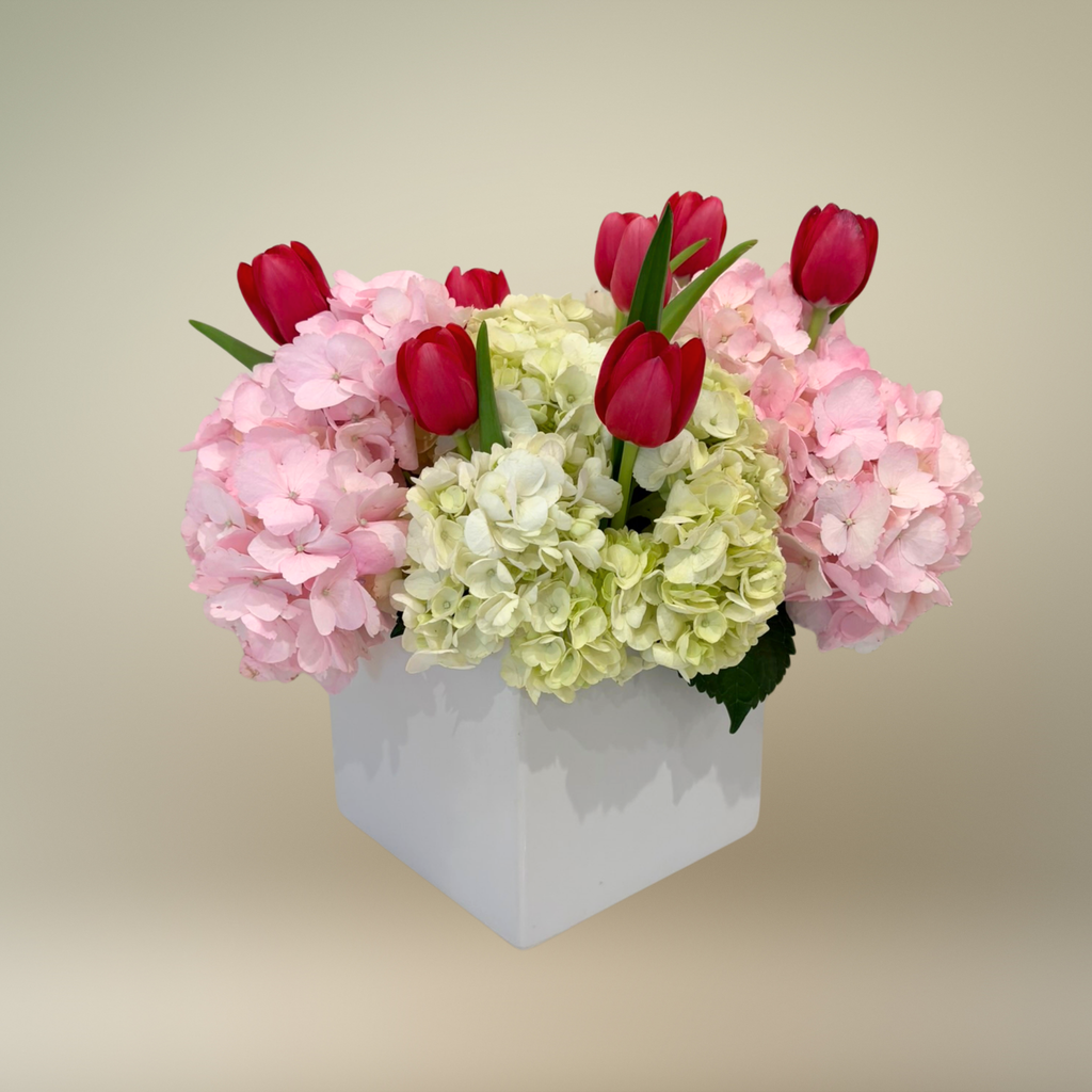 Pop of Tulips