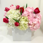Pop of Tulips