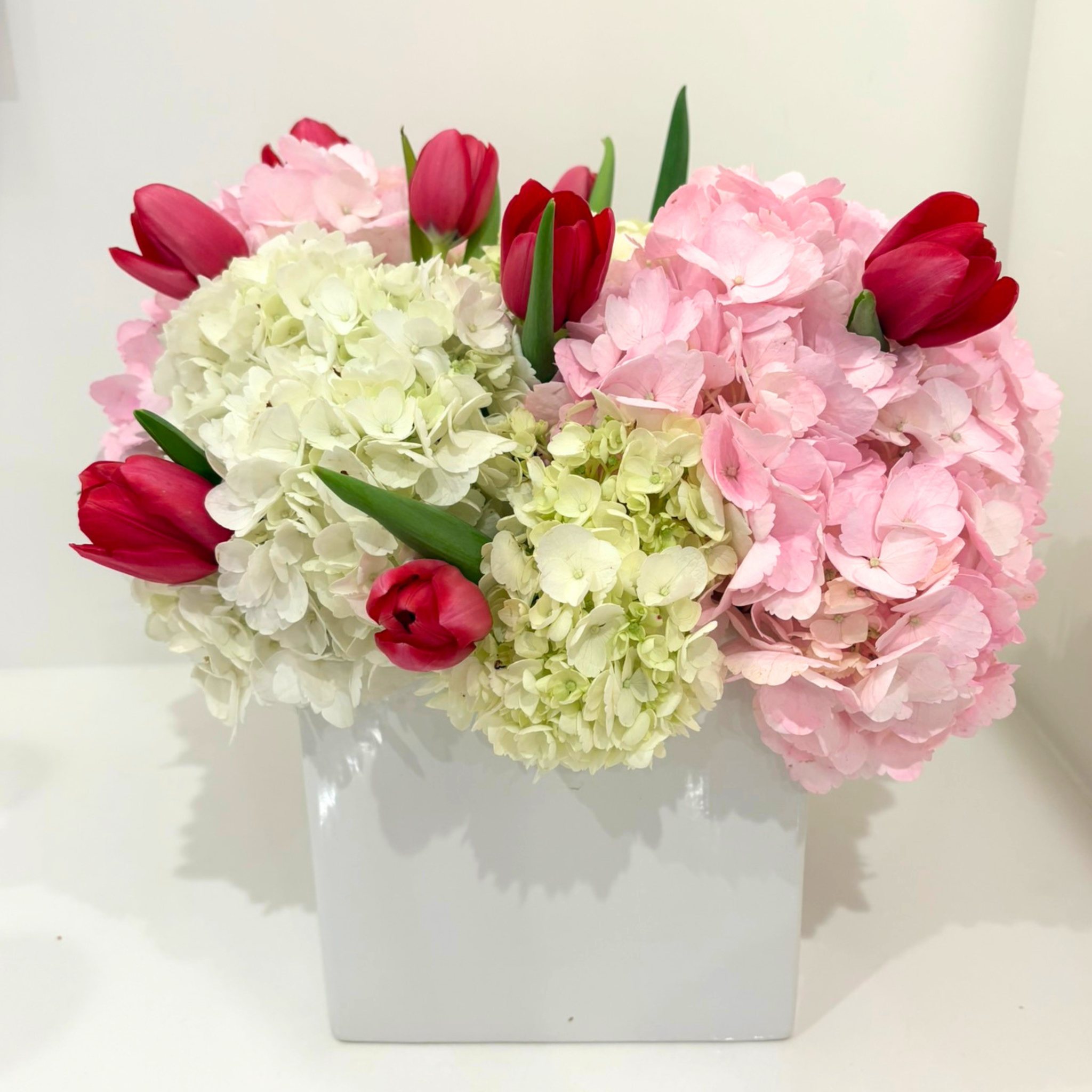 Pop of Tulips