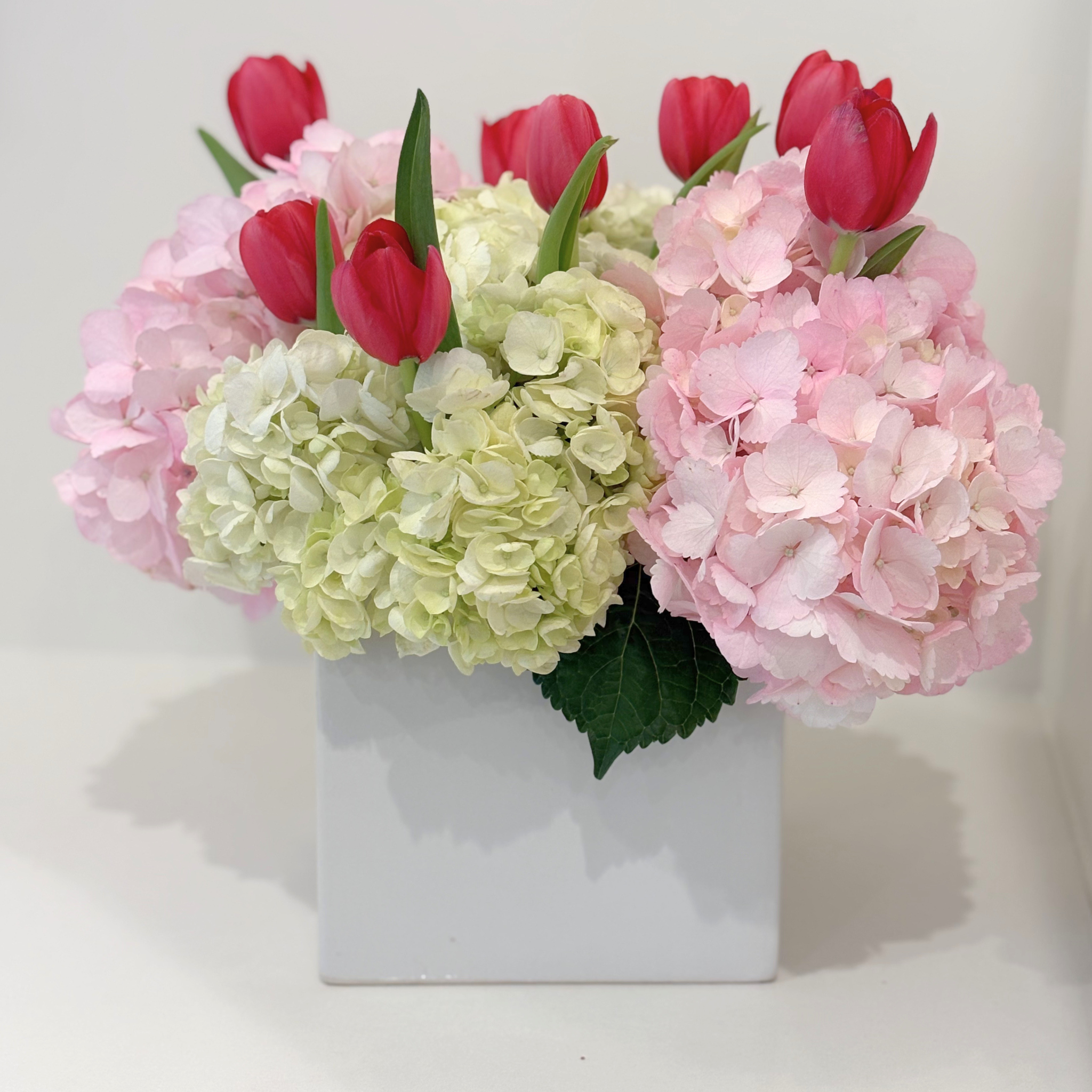Pop of Tulips