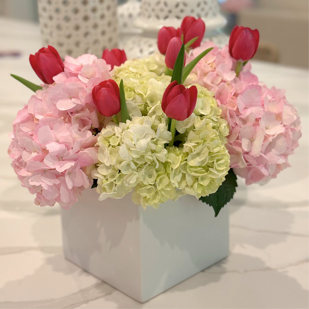 Pop of Tulips