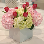 Pop of Tulips