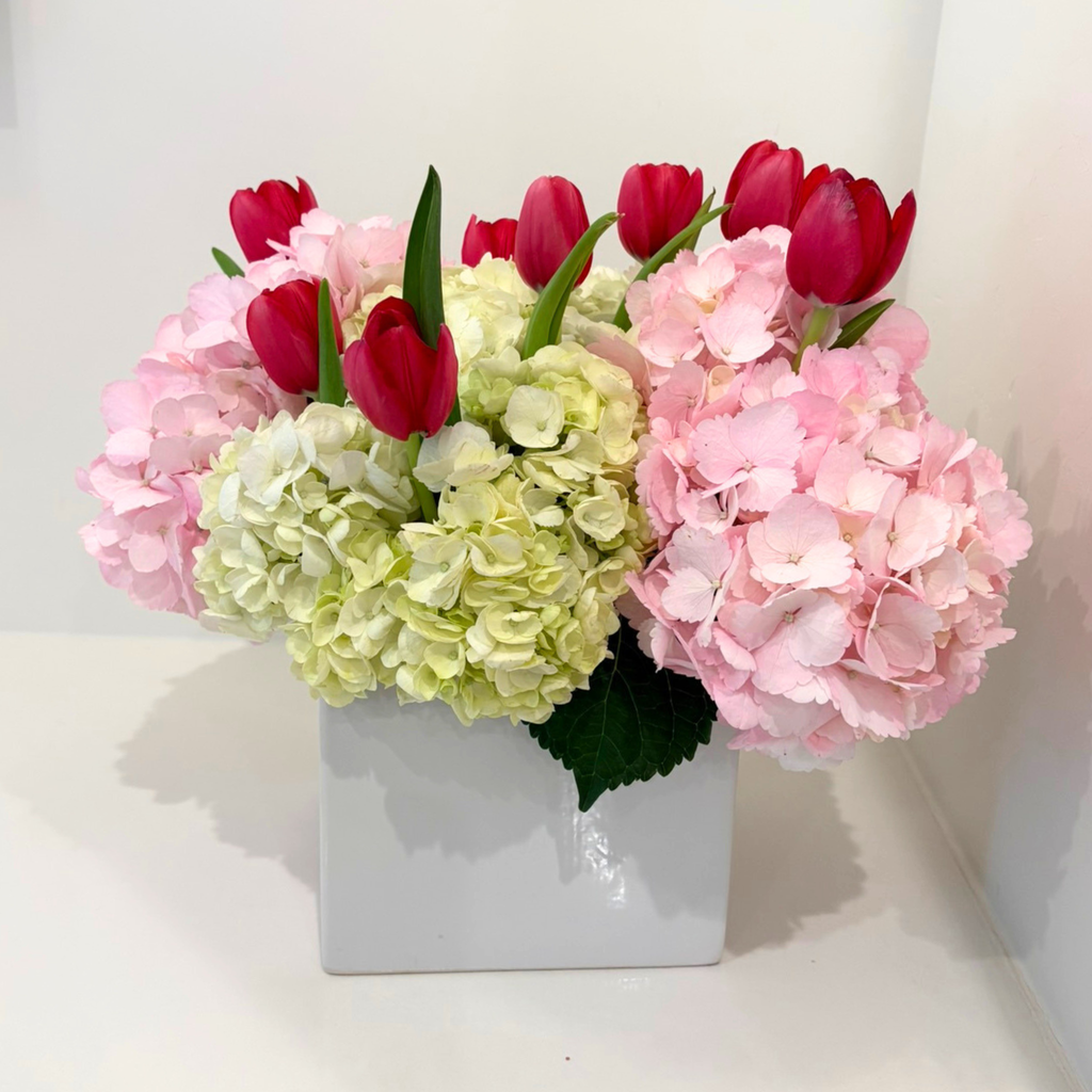 Pop of Tulips