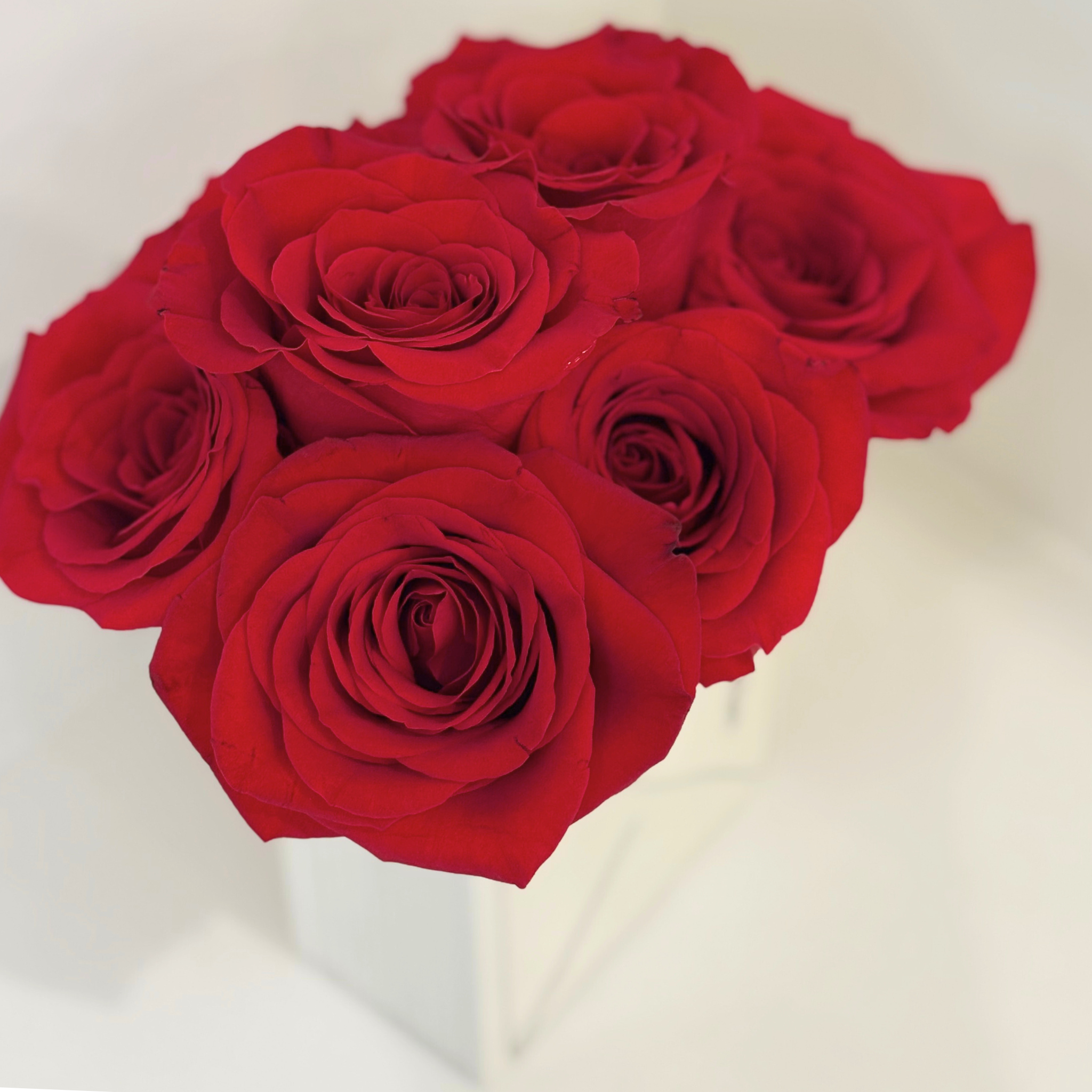 Signed, Sealed, Delivered with Roses