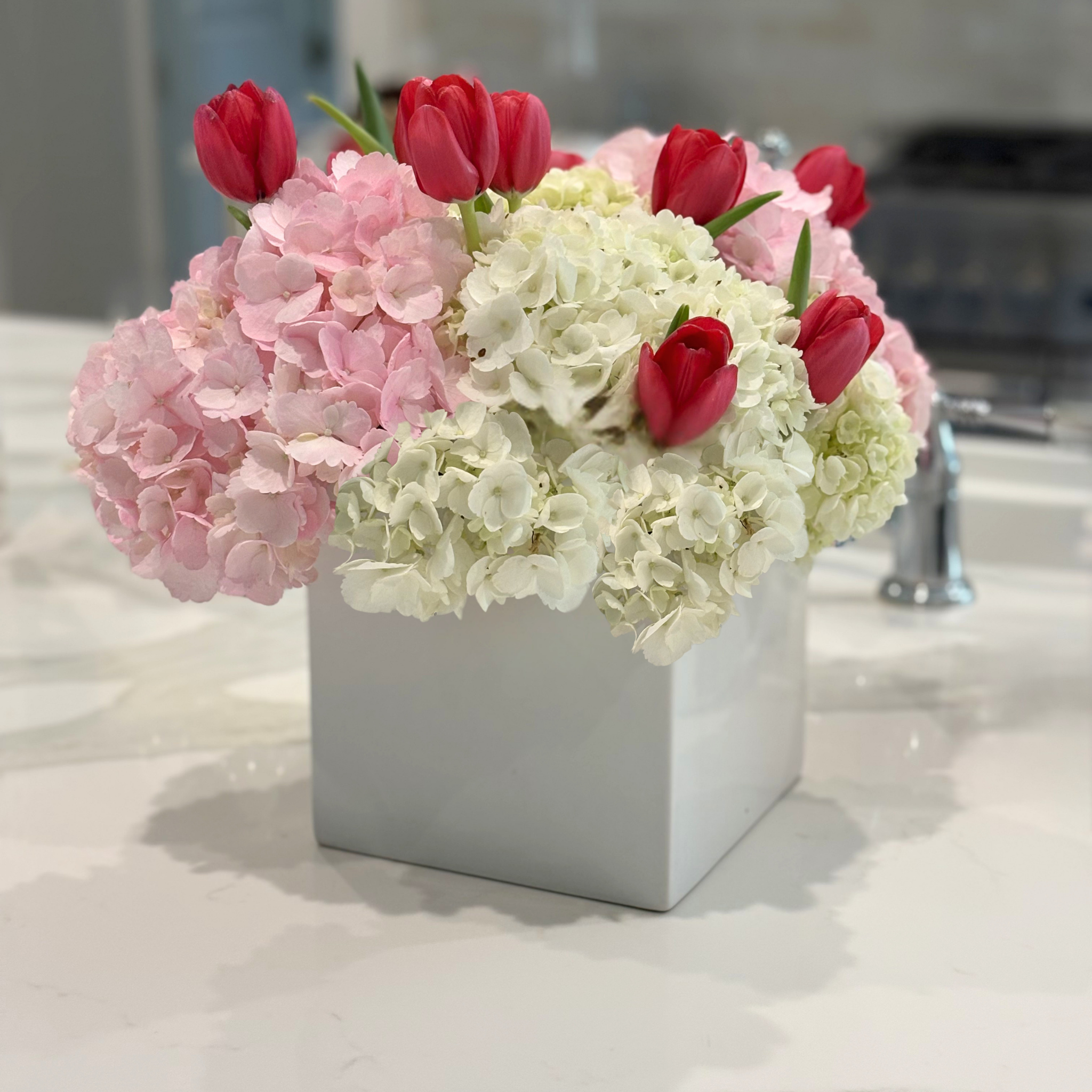 Pop of Tulips
